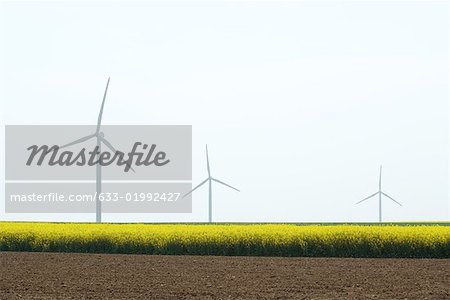 Ligne d'éoliennes dans le champ