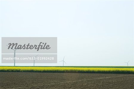 Plowed field with row of wind turbines in the distance