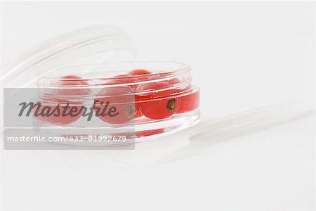 Red berries in cosmetic container