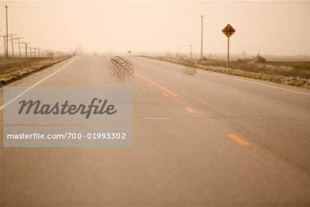 Tumbleweed on Road, Kansas, USA