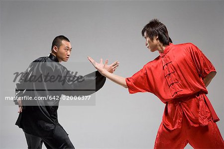 deux hommes pratiquant de kung fu chinois