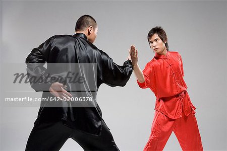 deux hommes pratiquant de kung fu chinois