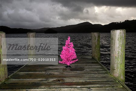 Arbre de Noël rose sur le quai, le lac Windermere, Cumbria, Angleterre