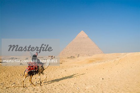 Camel Rider de la pyramide de Khéphren Giza, Égypte