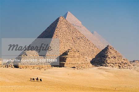 Train de chameau de pyramides, Giza, Égypte