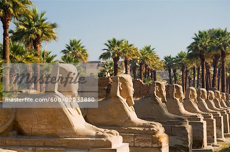 Allée des Sphinx, Temple de Luxor, Luxor, Égypte