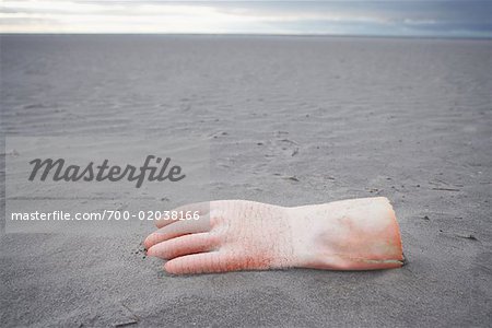 Rubber Glove Washed Up on Beach, St Peter-Ording, Nordfriesland, Schleswig-Holstein, Germany