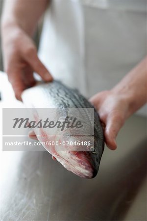 Person Holding Sea Bass