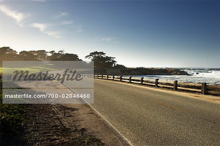 Coastal Road, Pebble Beach, North California, USA