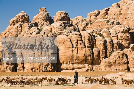 Sheep Herding, Siq al-Berid, Jordan