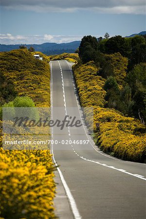 Highway in Los Lagos Region, Chiloe Island, Chile