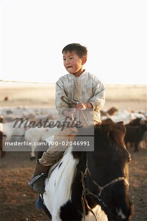 Garçon sur cheval élevage moutons, Parc National de Khustain Nuruu, Mongolie