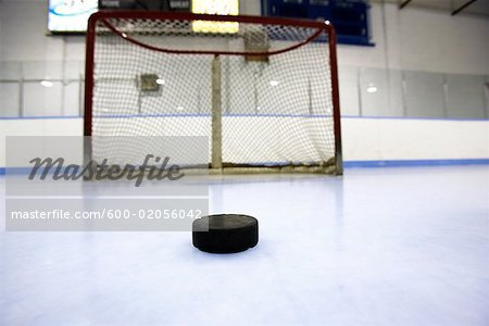 Hockey Puck and Net