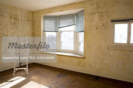 Ladder in House Undergoing Renovations