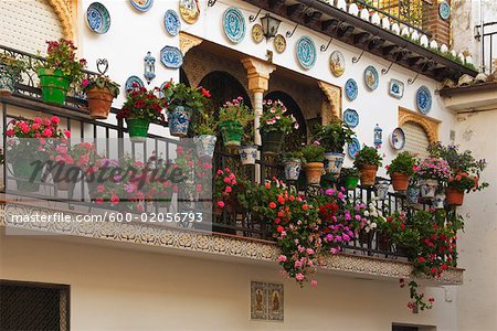 Plantes en pot sur le balcon, Grenade, Andalousie, Espagne