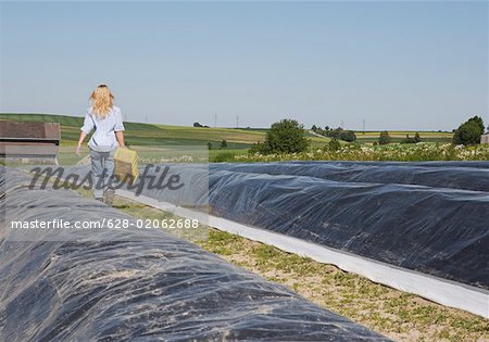 Woman walking along an asparagus field