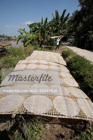 Trocknung Ricepaper, Mekong Delta, Vietnam