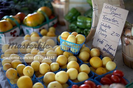 Tomates biologiques pour la vente au marché de l'agriculteur Don Valley Brick Works, Toronto, Ontario, Canada