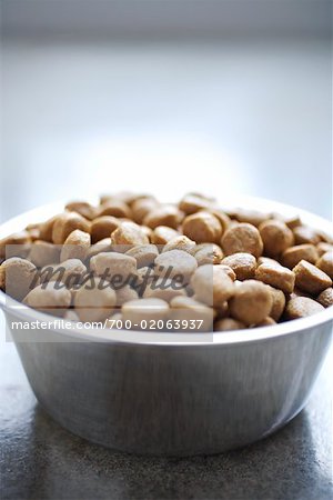 Close-Up of Dog Food in Bowl