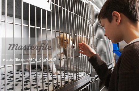 Boy with Puppy in Cage