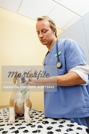 Veterinarian with Dog Veterinarian with Dog