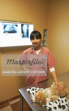 Veterinarian with Puppy and X-Rays