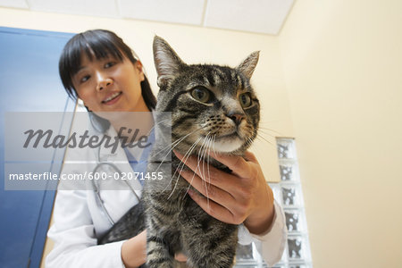 Veterinarian with Cat