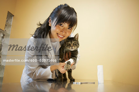 Veterinarian with Cat