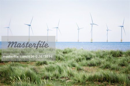 Offshore wind farm