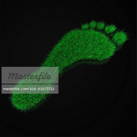 Grassy footprint