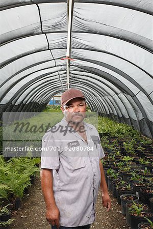 Man Standing in Greenhouse