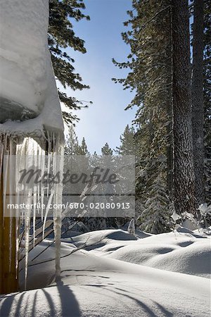 A neigé dans Cour, Lake Tahoe, Californie, USA