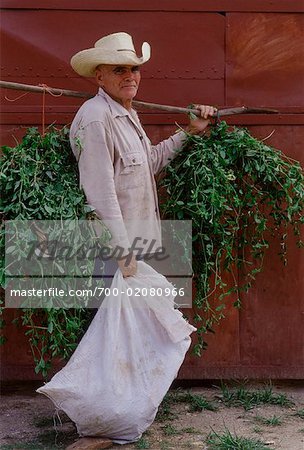 Farmer Carrying Weeds for Chicken Coop, Cienfuegos, Cuba