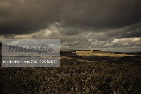 Übersicht über Hügel, Haytor, Dartmoor, Devon, England