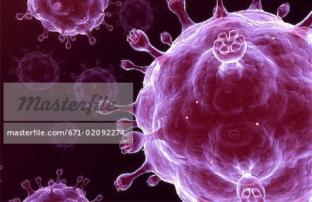 Vogelgrippe-virus
