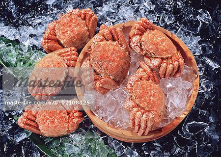 Crabe Crabe