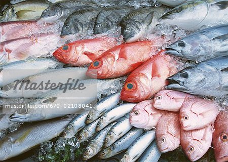 Produits de la pêche Produits de la pêche