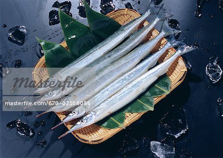Poisson Poisson