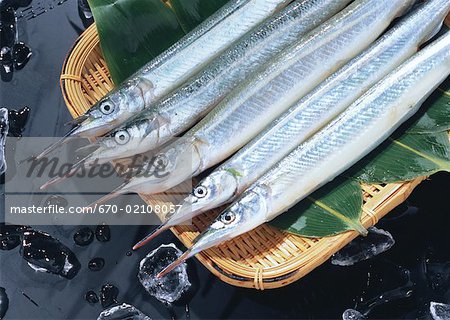 Fish