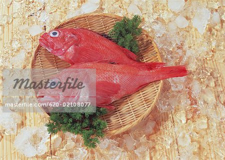 Kichji Rockfish Kichji Rockfish