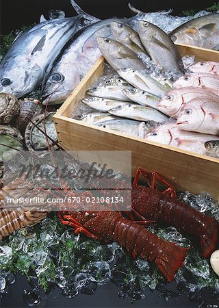 Produits de la pêche Produits de la pêche