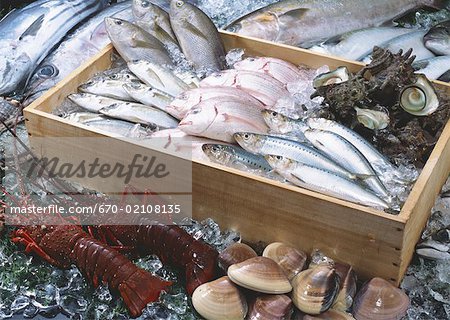 Produits de la pêche Produits de la pêche