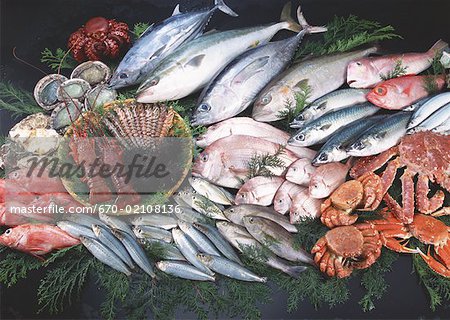 Produits de la pêche Produits de la pêche