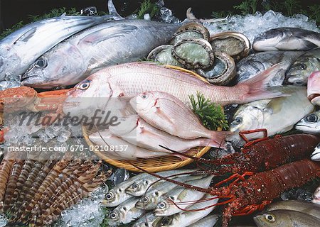 Produits de la pêche Produits de la pêche