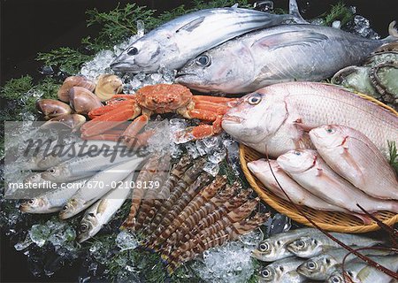Produits de la pêche Produits de la pêche