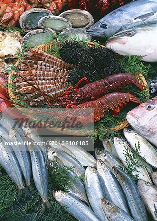 Produits de la pêche Produits de la pêche