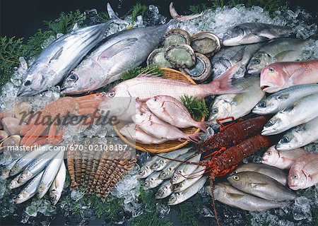 Fishery Products Fishery Products