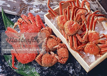 Produits de la pêche Produits de la pêche