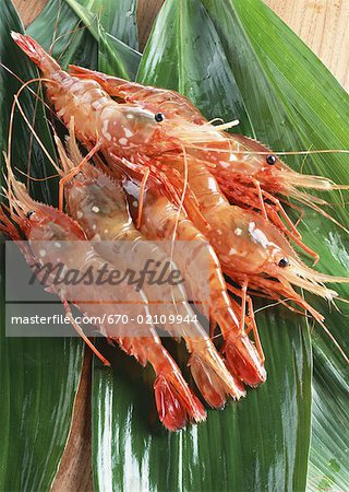 Crevettes Crevettes