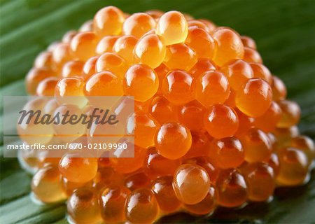 Salmon roe Salmon roe